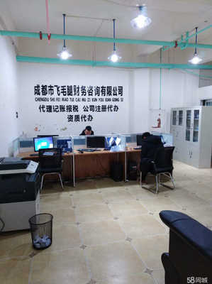 成都市飛毛腿財務(wù)咨詢 專業(yè)服務(wù)助力企業(yè)穩(wěn)健發(fā)展
